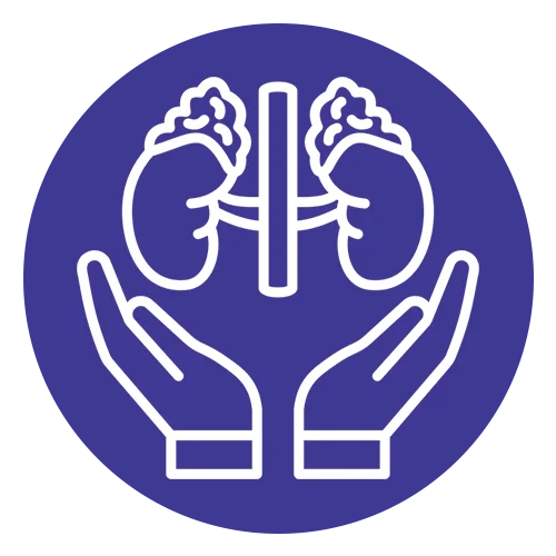 Understanding Kidney Transplantation In India
